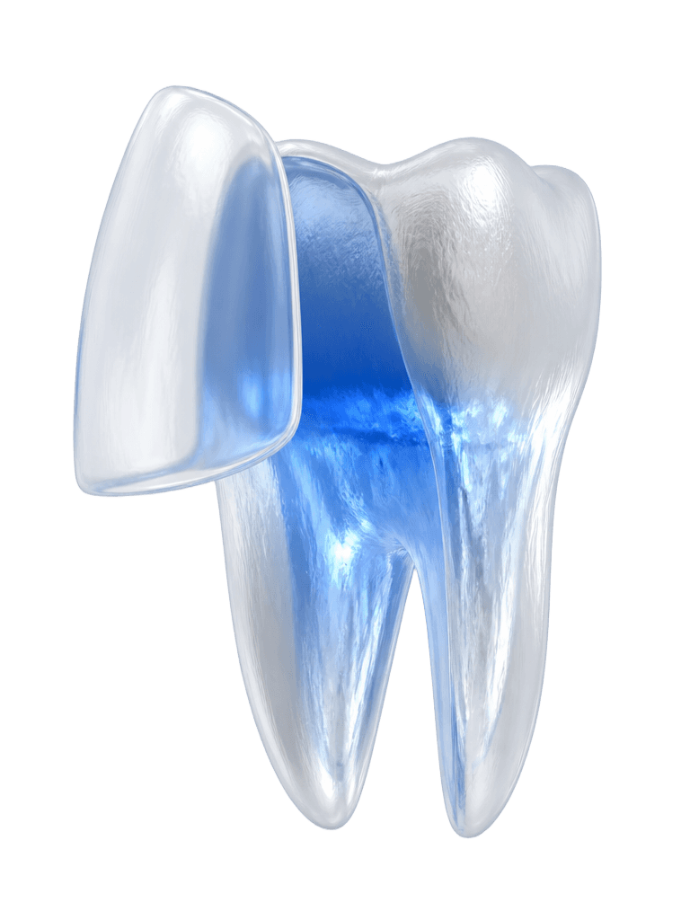 Orthodontics 